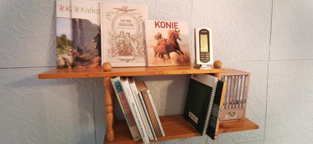 Apartament Milka W Dusznikach Zdroju Duszniki Zdrój Eksteriør bilde