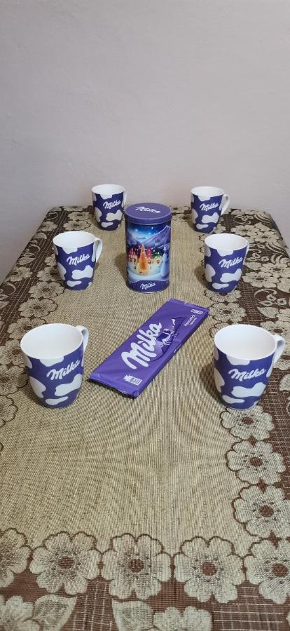 Apartament Milka W Dusznikach Zdroju Duszniki Zdrój Eksteriør bilde