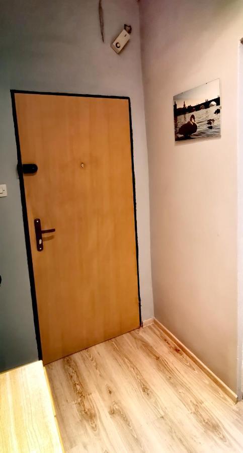 Apartament Milka W Dusznikach Zdroju Duszniki Zdrój Eksteriør bilde