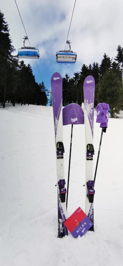 Apartament Milka W Dusznikach Zdroju Duszniki Zdrój Eksteriør bilde