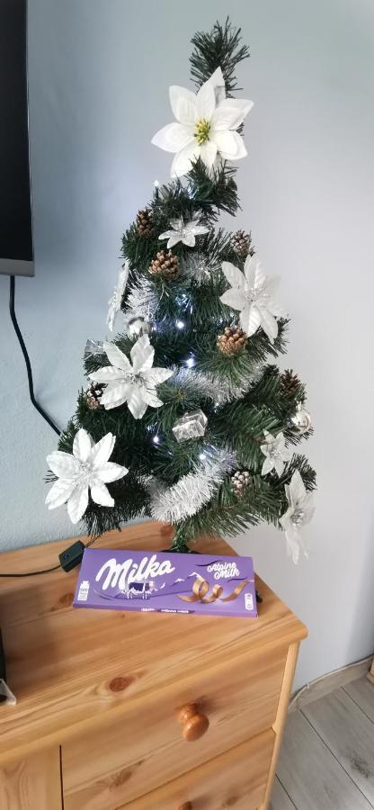 Apartament Milka W Dusznikach Zdroju Duszniki Zdrój Eksteriør bilde